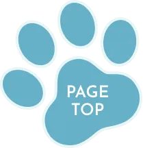 ボタン:Page Top