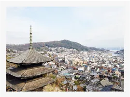 写真:街を見下ろしている写真。お寺や街並みが一望できます。