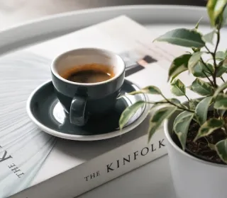 写真:本の上にコーヒー、手前に植物があります。