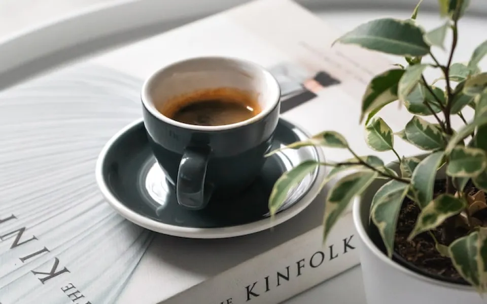 写真:本の上にコーヒー、手前に植物があります。